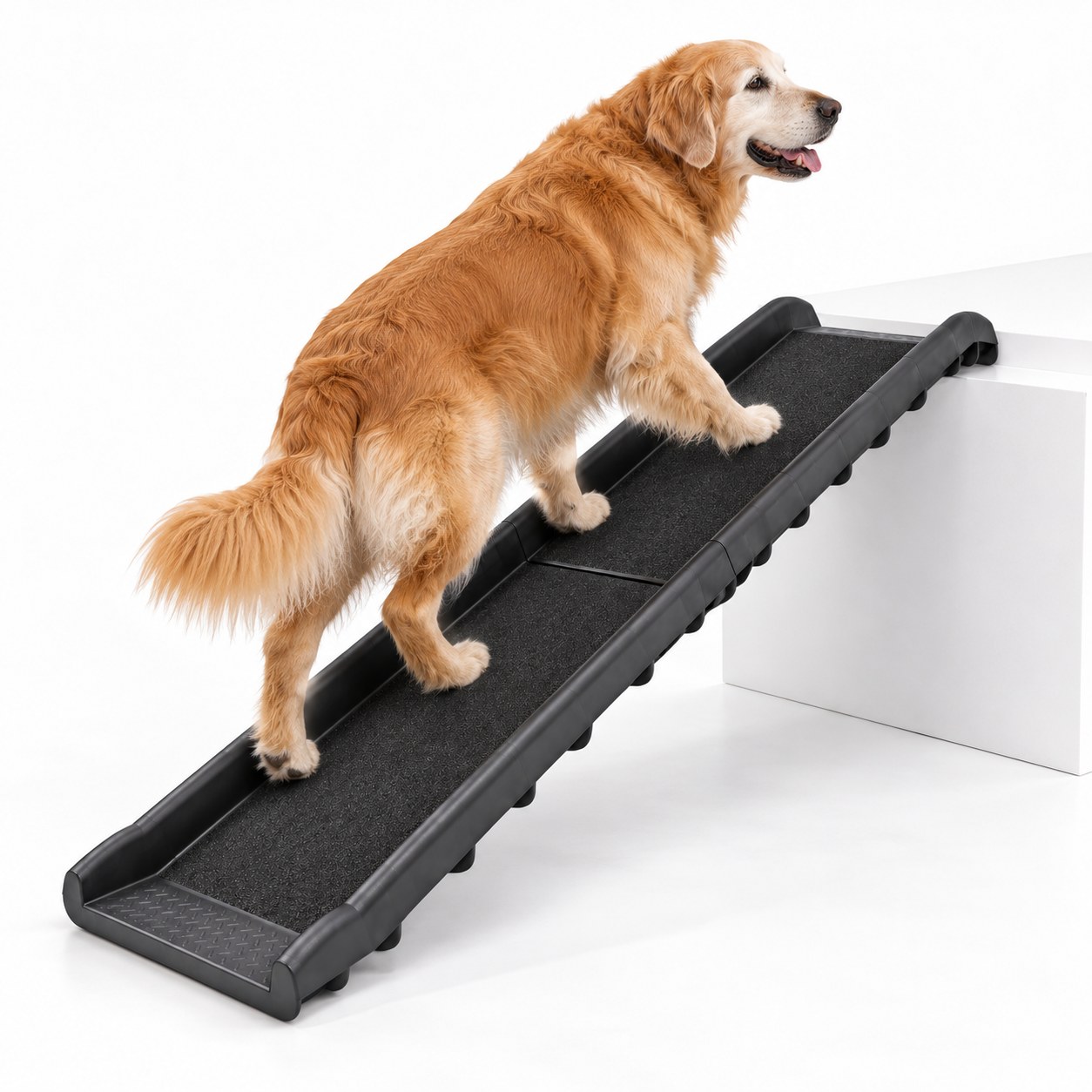 PetSafe Happy Ride Folding Dog Ramp