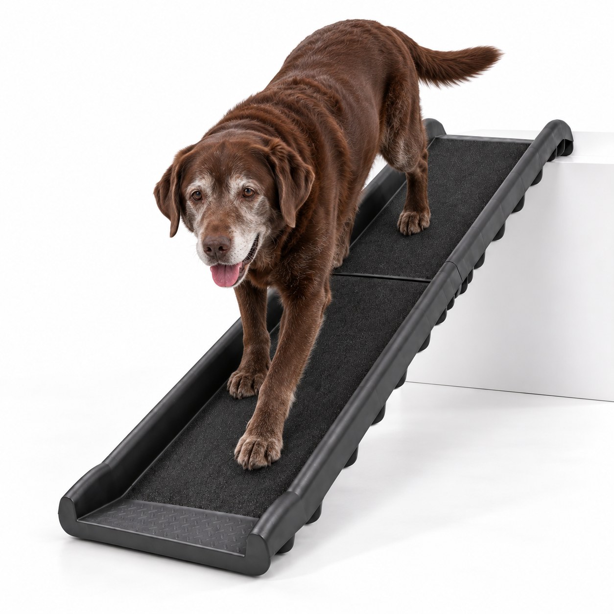 PetSafe Happy Ride Folding Dog Ramp, view 4