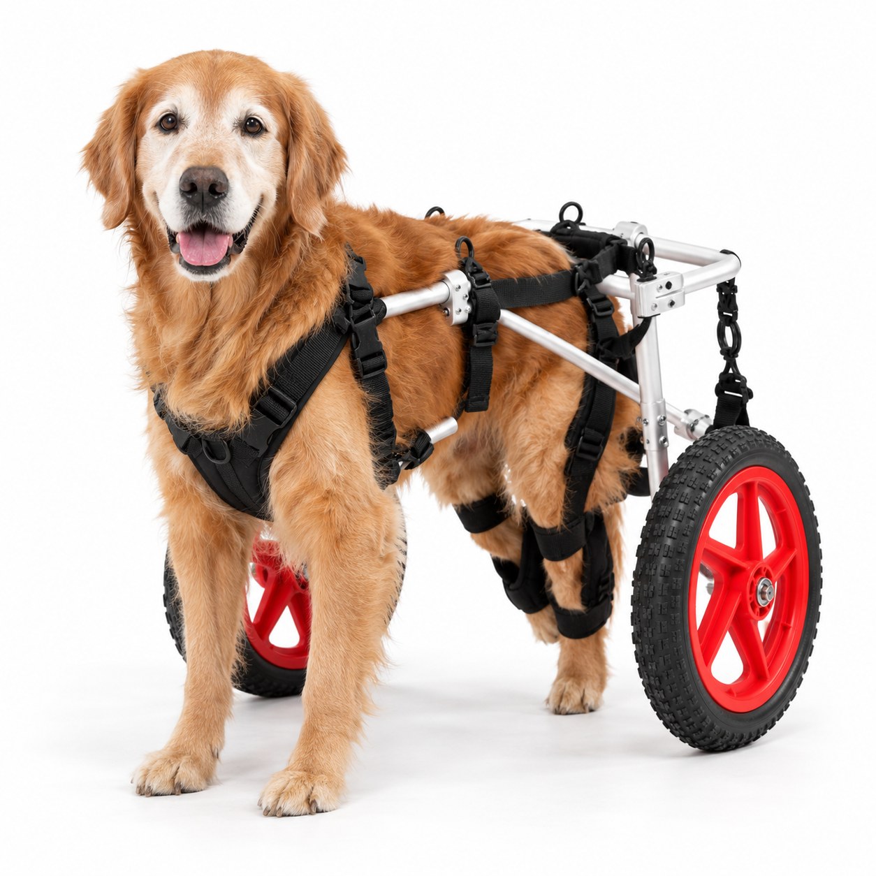 Best Friend Mobility K9 Wheelchair (Large)
