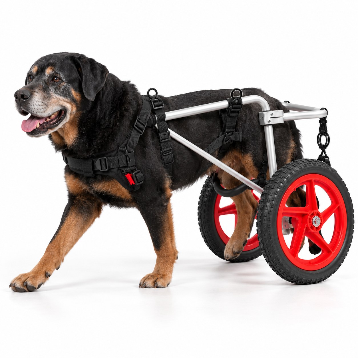Best Friend Mobility K9 Wheelchair (Large), view 4