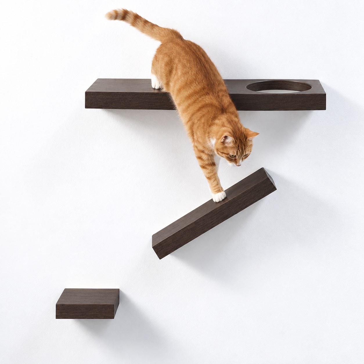PetFusion Cat Activity Wall Shelves (3-Piece)