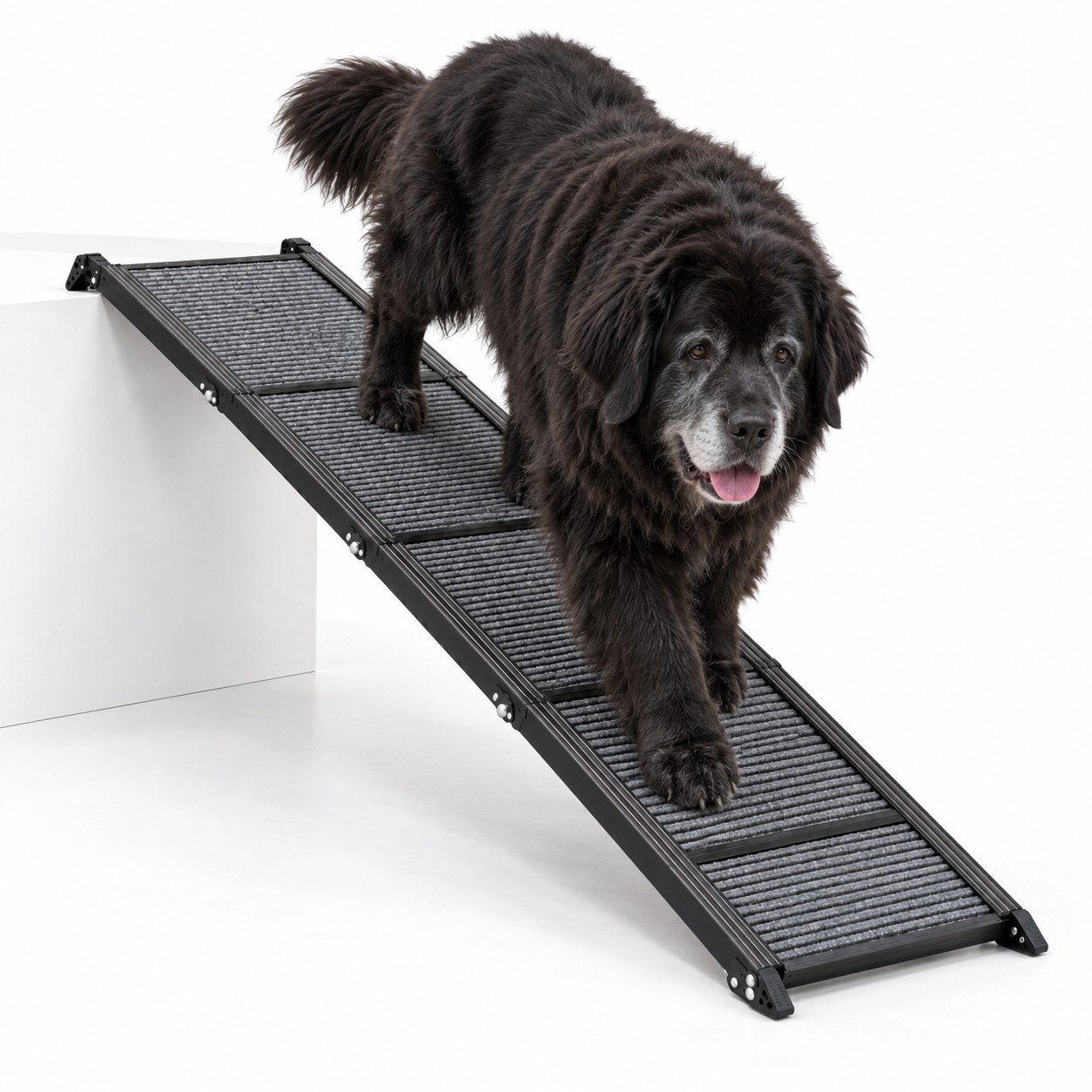 HerCcreta 63" Foldable Aluminum Dog Car Ramp, view 4