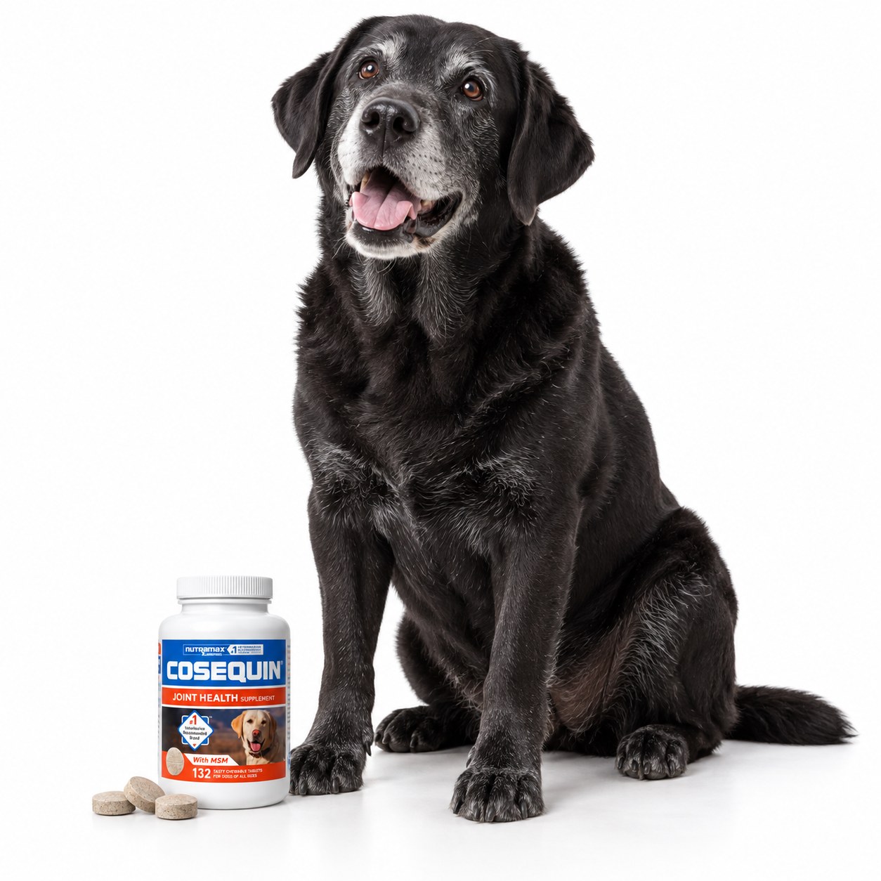 Nutramax Cosequin with MSM (Chewable Tablets), view 4